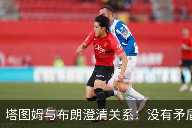 塔图姆与布朗澄清关系：没有矛盾，只有理解